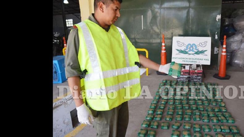 Hallaron 30 kilos de hoja de coca en un cargamento secuestrado a fines de agosto
