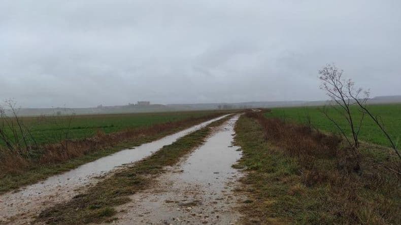 Alivio esperado: las lluvias le brindan otra mirada al campo