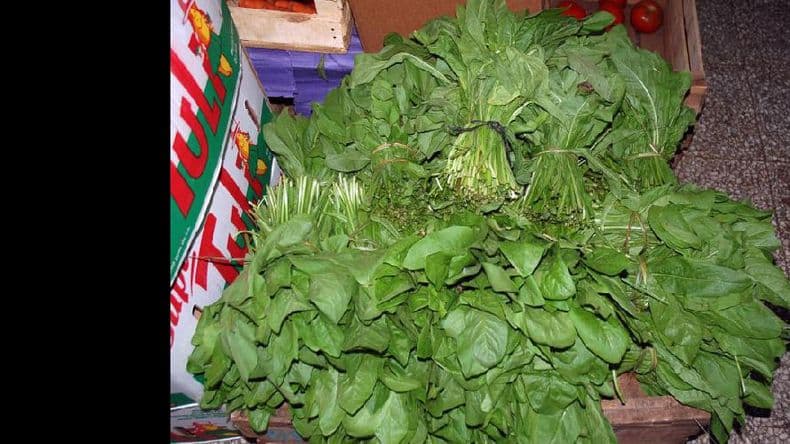 Golpe al bolsillo: algunas verduras incrementaron notoriamente sus precios