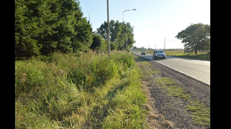 Cipsa informó que la semana próxima hará desmalezamiento en banquinas de la ruta Nº 188