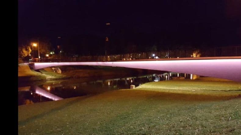 Mostraron las obras que se desarrollaron en el Paseo Ribereño