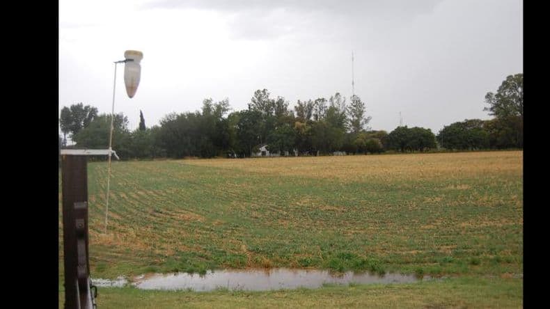 El clima en la región: cesan las lluvias y aparecen las heladas