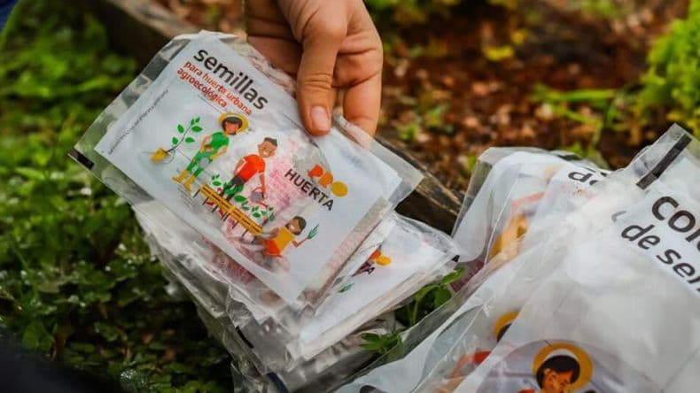 Más pergaminenses se suman al Pro Huerta: Cómo retirar las semillas y a partir de cuándo