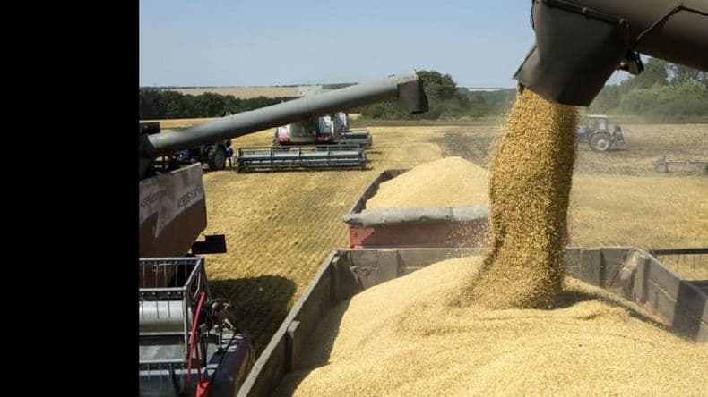 Soja: más de 100.000 hectáreas podrían perderse por las lluvias