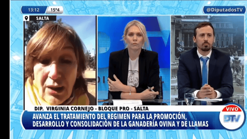 Diputados se refirieron a la modificación de la Ley Ovina
