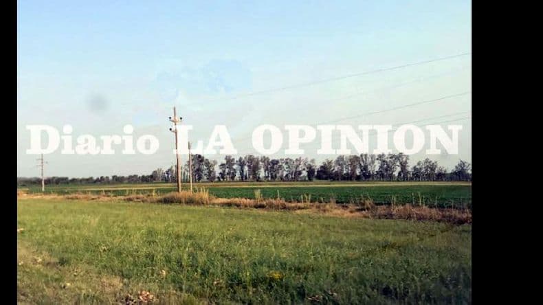 Robaron 12 kilómetros de cables de media tensión cerca de Mariano H. Alfonzo