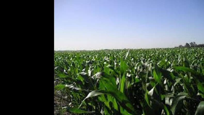 Asociación estratégica entre CONFIagro y Logiseed para reducir la contaminación en el agro