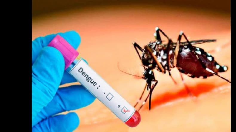 Detectaron más de 2.800 casos de dengue en la provincia de Buenos Aires