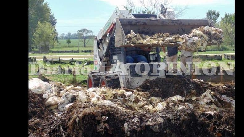 Destruyeron gran cantidad de mercadería secuestrada en operativos de Bromatología