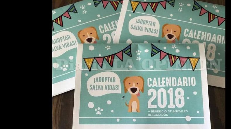 Comercializan calendarios 2018 a beneficio de los perros rescatados
