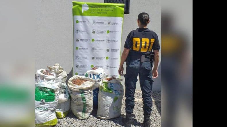 Esclarecieron el robo a un semillero de la ciudad