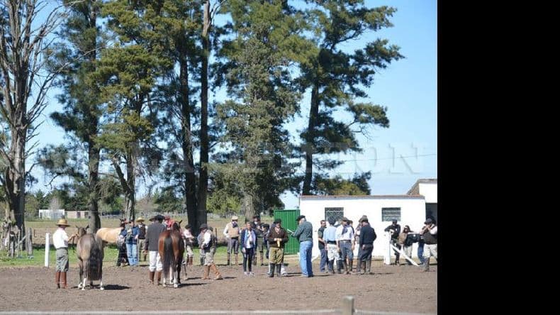 Bovinos, porcinos, aves, conejos, canarios y caballos en la Rural