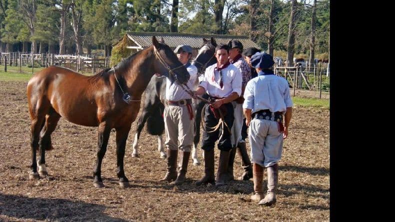 Exposición de Caballos Criollos