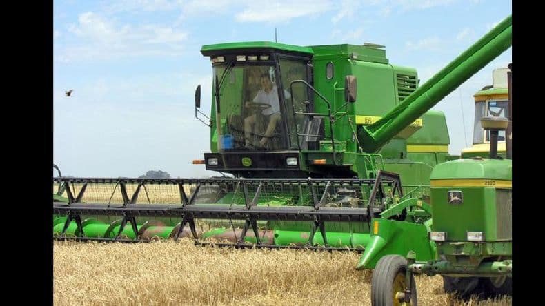 Trigo: por las restricciones, se resignan 4.321 millones de pesos