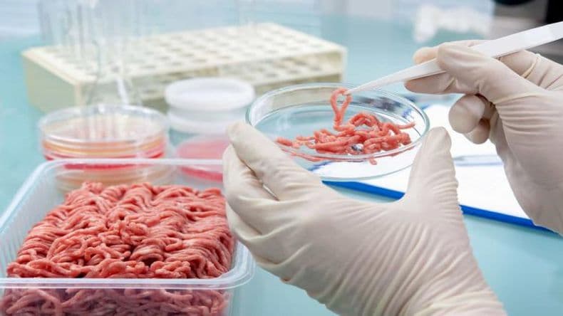Bromatología realiza controles en comercios que venden carnes y derivados