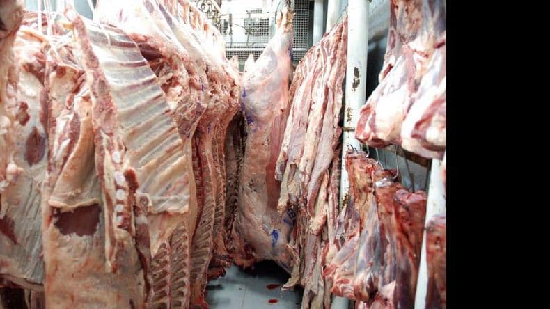 ¿Cómo se pueden reducir las pérdidas económicas del maltrato animal?