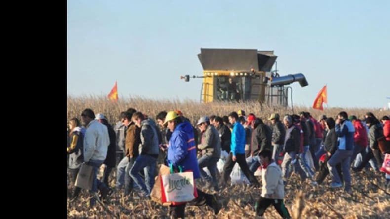 Más de 200 personas en el segundo sorteo de stands de AgroActiva