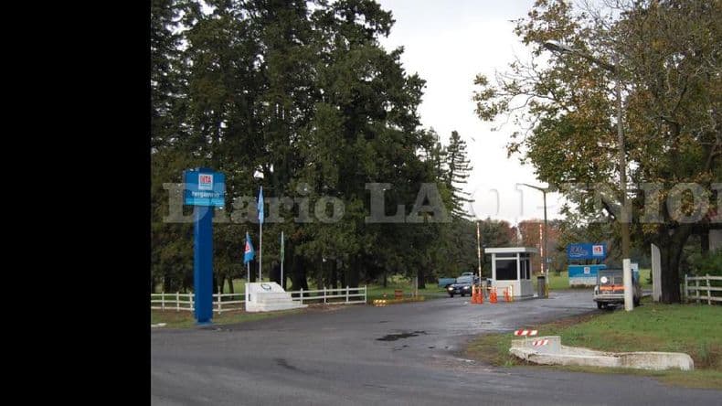 Desde el Inta Pergamino buscan un maíz resistente a múltiples enfermedades