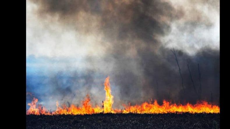 "El estado de los incendios está más aliviado, pero la situación aún es crítica", admiten desde Ambiente