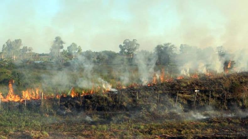 Clima Pergamino y Defensa Civil, en alerta por la gran cantidad de pastizales quemados
