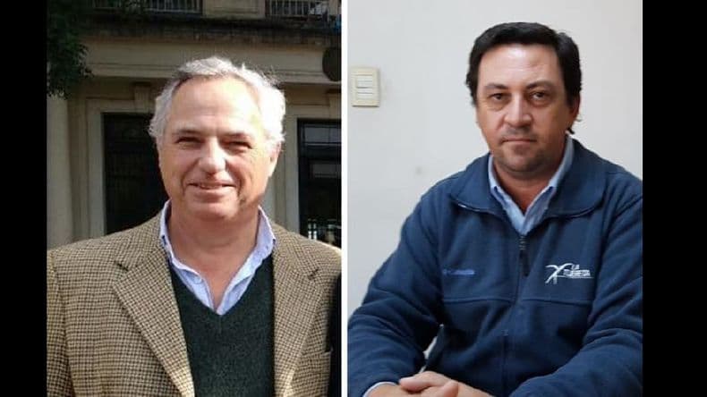 La cosecha de soja entrega buenos rindes promedio y los granos muy buena calidad