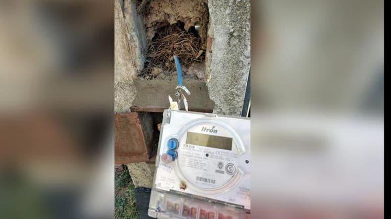 Volvieron a robar en el Taller Protegido