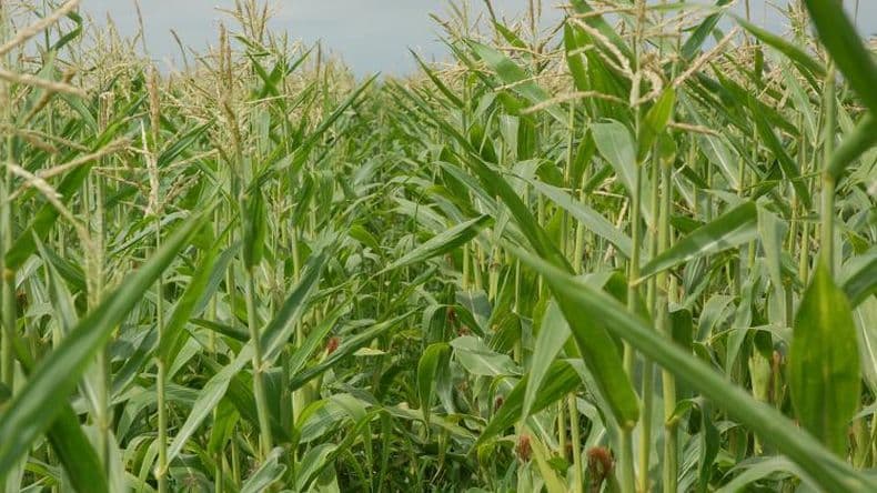 La sequía quedó atrás, pero el 50% de la región sigue con reservas escasas