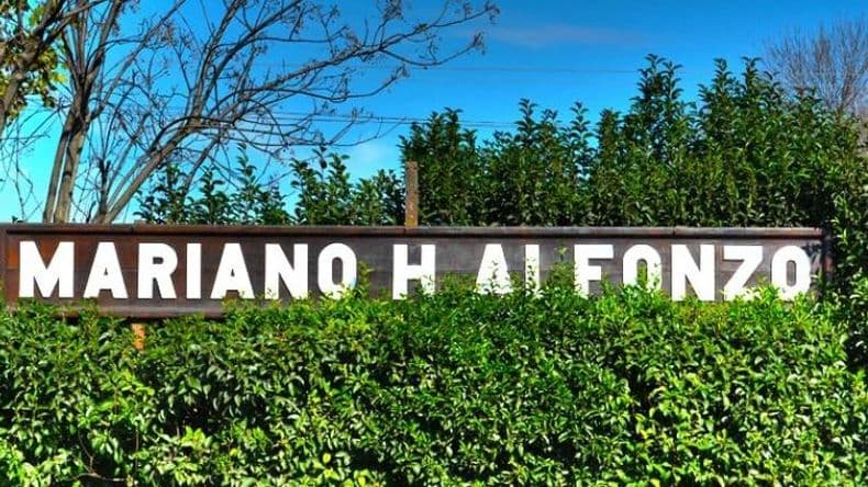Alfonzo renovó su arbolado público y está cada vez más verde
