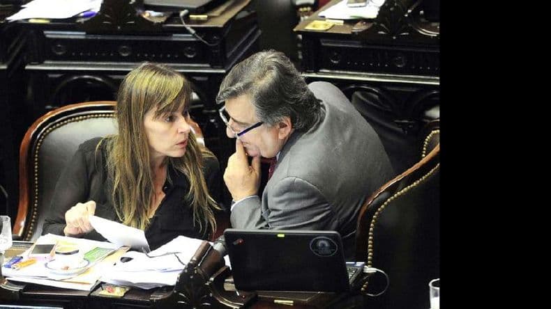Diputados avanzó con la ley que regula la fertilización asistida