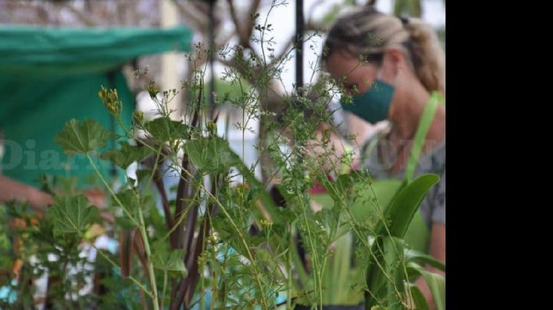 Nueva edición de la Feria Verde Agroecológica