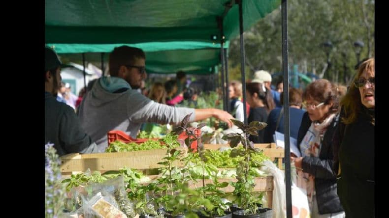 Este sábado vuelve la Feria Verde Agroecológica