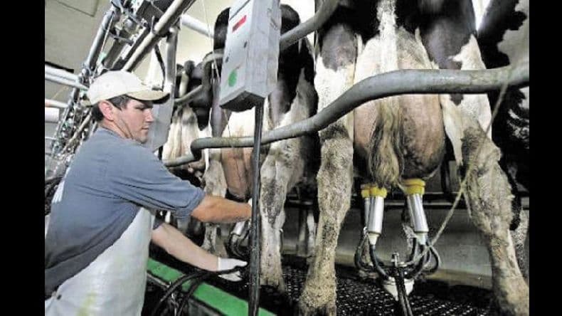 Sammartino se reunió con productores lecheros
