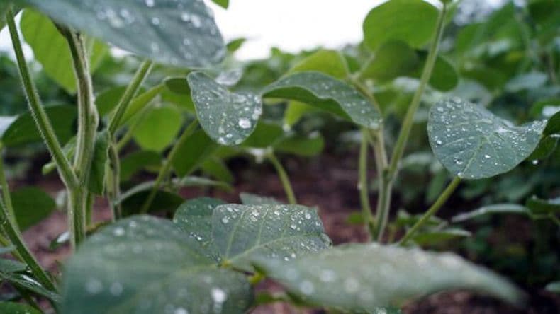 Otra semana de lluvias llega con algunas alertas a la zona núcleo