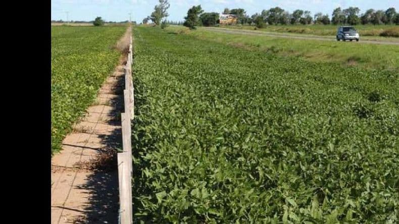 Concurso de precios para la explotación agrícola de banquinas