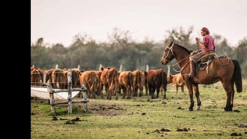 Aumento del 35% para trabajadores rurales y la construcción de viviendas en el sector