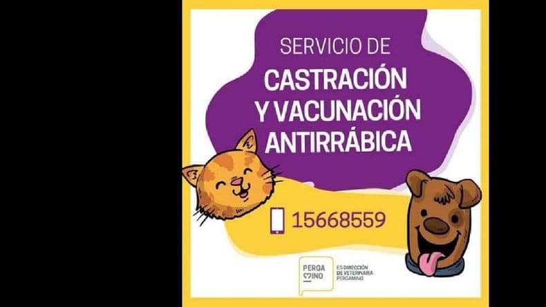 La vacunación antirrábica y castración se realiza en el predio de Veterinaria