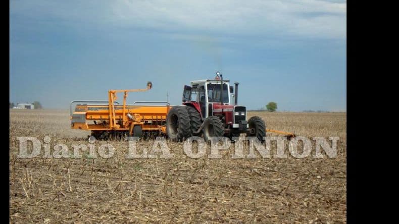 Proyectan la superficie sembrada con soja en 20.100.000 hectáreas