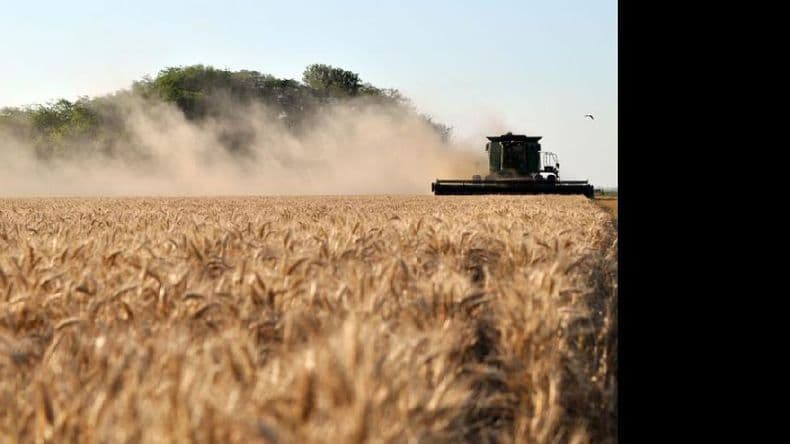 La sequía toma al 25% de la región núcleo y limita la siembra de soja de segunda