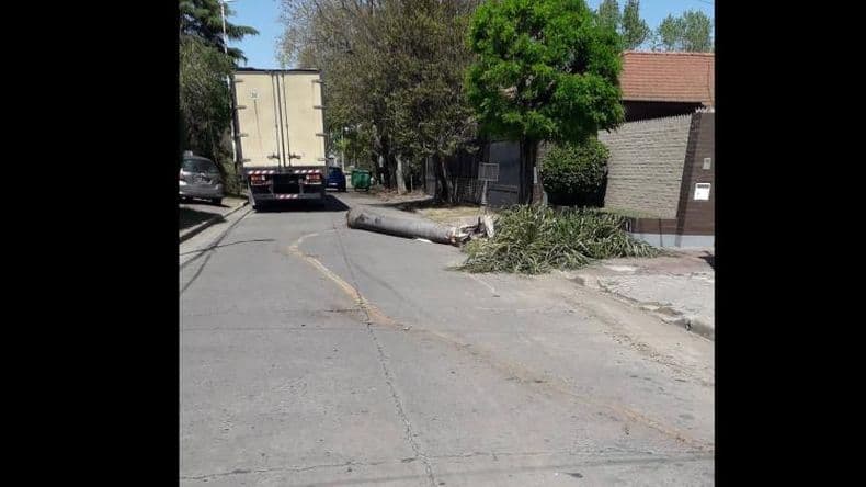 Un camión generó problemas en un sector del barrio La Amalia