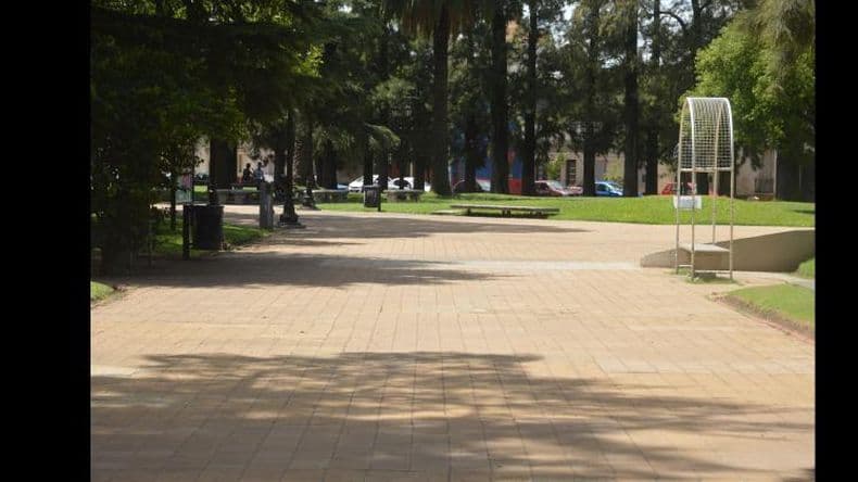 Fauna Silvestre protege a un molesto carancho de la Plaza 25 de Mayo