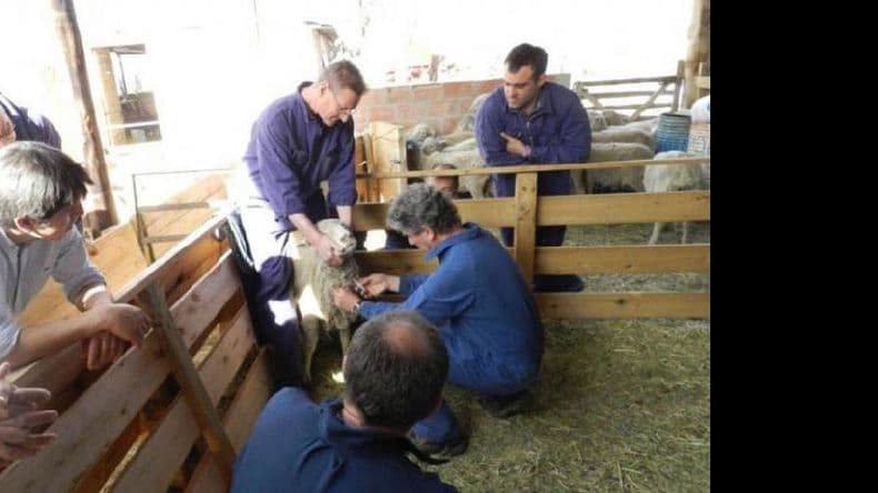Hoy celebran su día los ingenieros agrónomos y los veterinarios