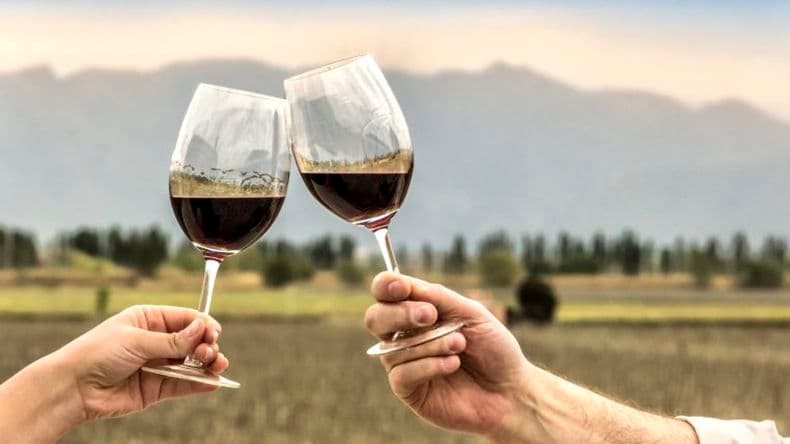 Cocina abierta: semana del malbec
