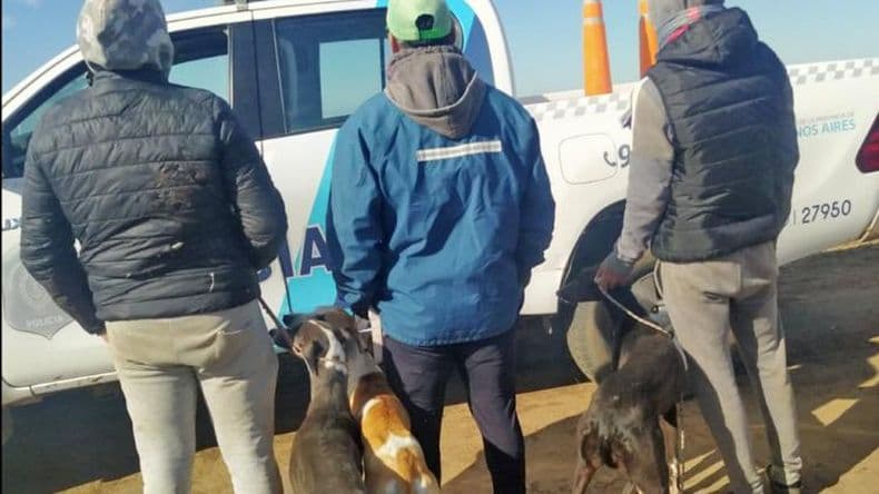 El CPR aprehendió a 14 personas en distintos campos por caza ilegal