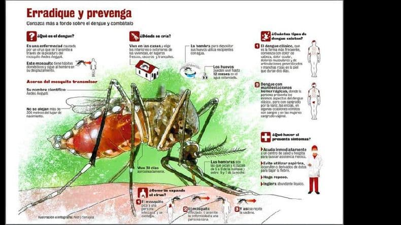 Emitieron un alerta para la prevención del dengue