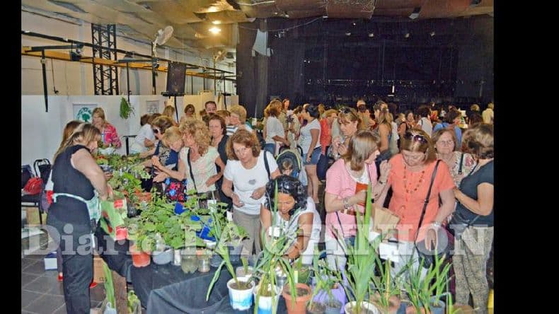 Exitoso Mercado de Plantas y Artesanías Navideñas organizado por “El Ombú”