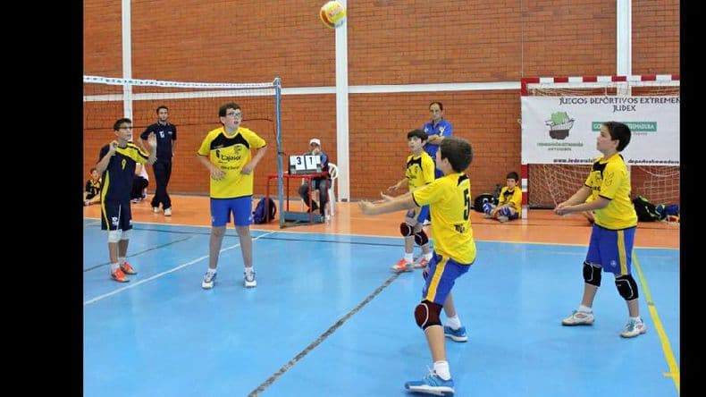 Voleibol: el domingo 28 se realizará en Sirio Libanés el encuentro regional de mini