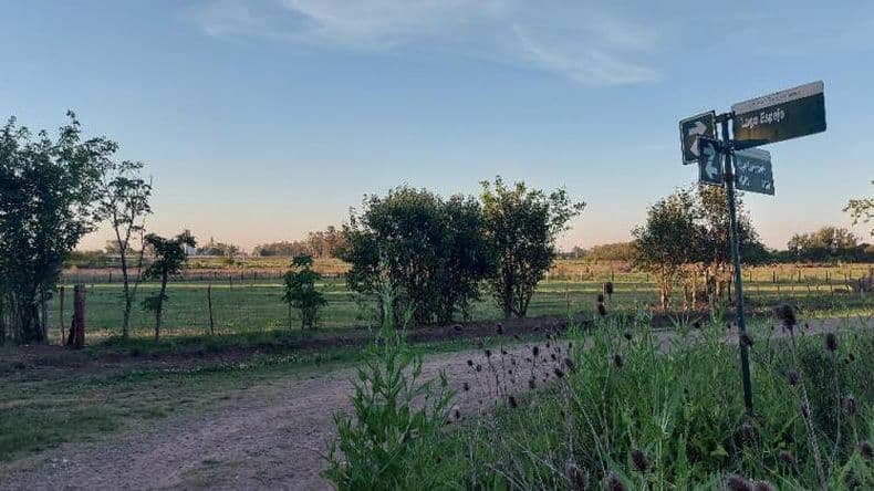 Vecinos de zona sur reclaman mejoras y mayor seguridad