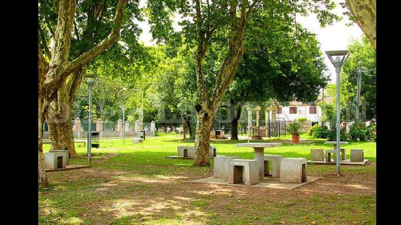 Multaron a vecinos que usaban espacios verdes como estacionamiento