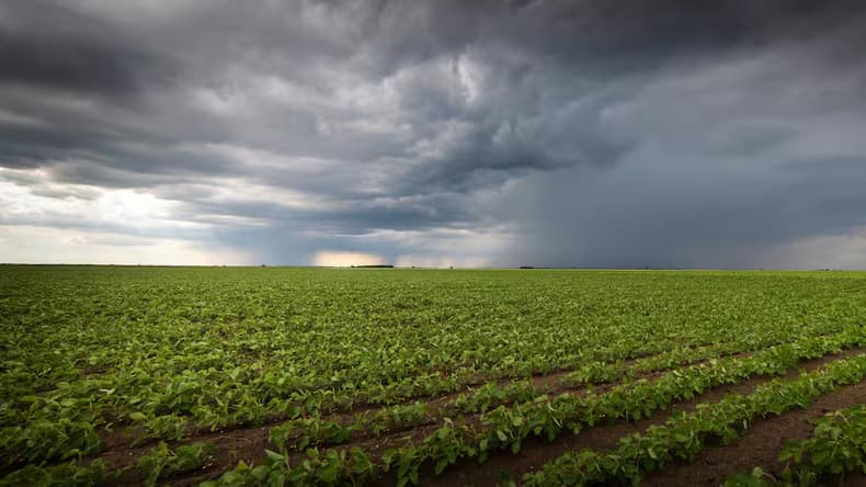 Prueba en 500.000 hectáreas: Córdoba es la primera provincia en tener un seguro de multicobertura agrícola