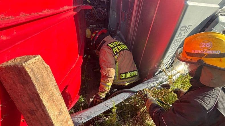 El camionero murió antes del siniestro vial, según la autopsia, y en el lugar del vuelco faenaron a las vacas